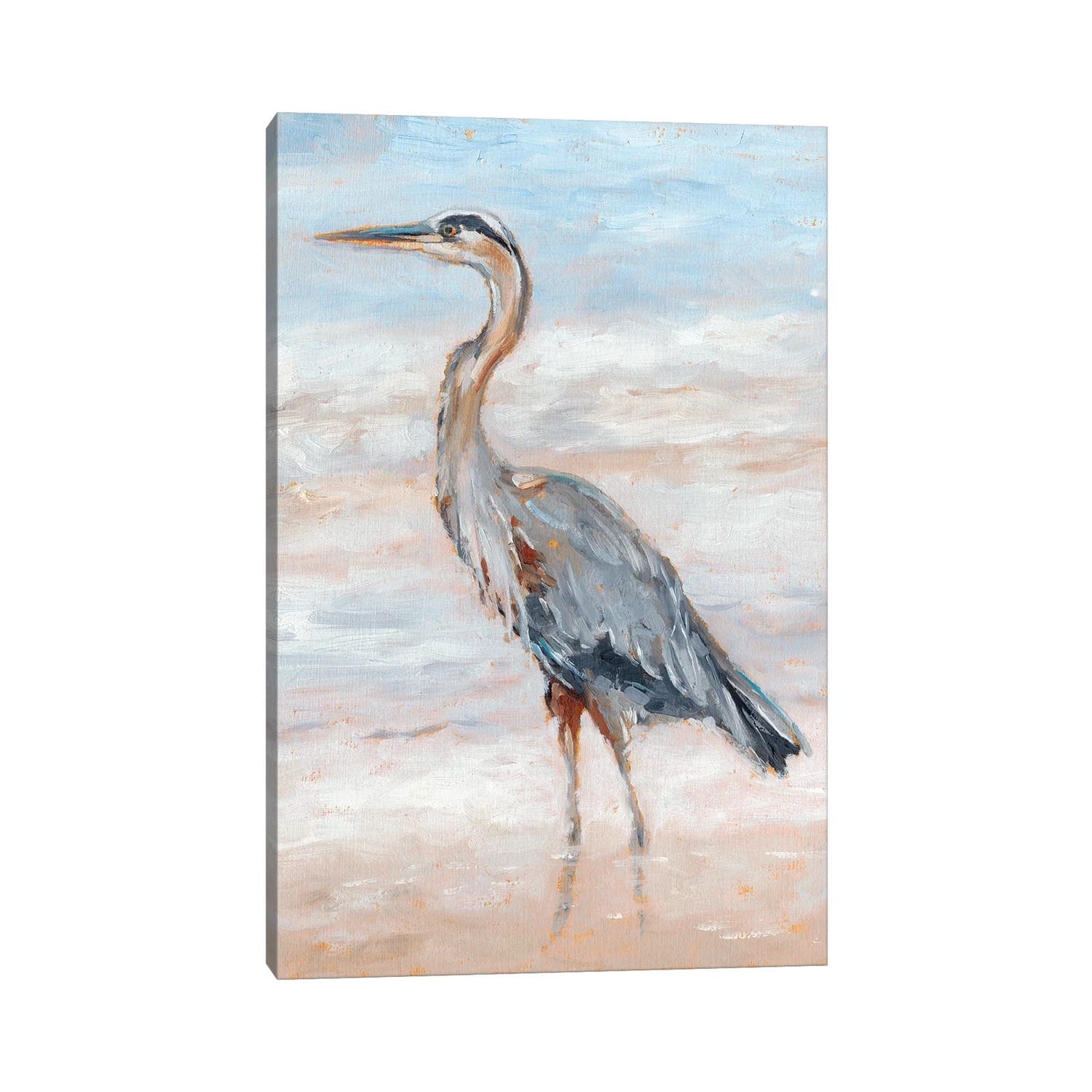 iCanvas 'Beach Heron II' by Ethan Harper Canvas Print