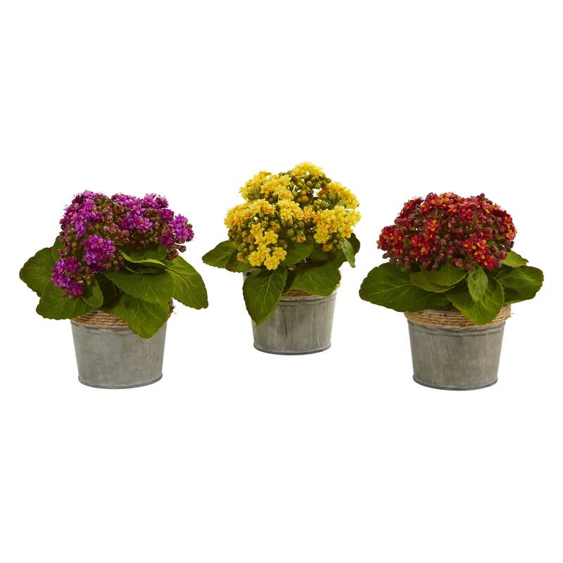 Set of 3 Artificial Kalanchoe Arrangements in Decorative Pot 9" - Multi