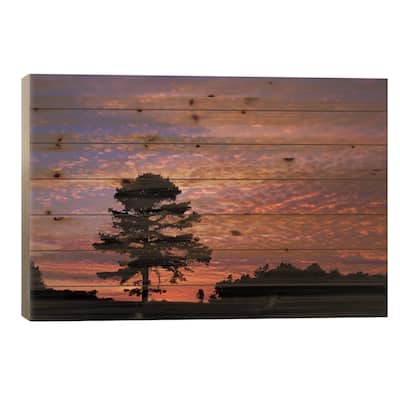 Pine Tree Silhouette At Sunrise, Cumberland Gap National Historic Park, Kentucky, USA Print On Wood by Adam Jones - Multi-Color