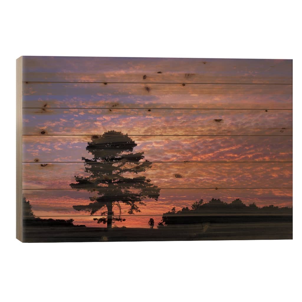 Pine Tree Silhouette At Sunrise, Cumberland Gap National Historic Park, Kentucky, USA Print On Wood by Adam Jones - Multi-Color