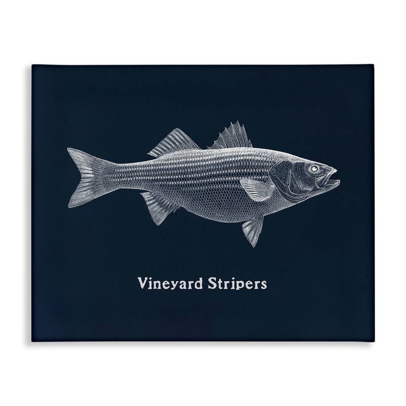 Stupell Vineyard Stripers Fish Canvas Wall Art Design By Phillipa Katz - 40 x 30