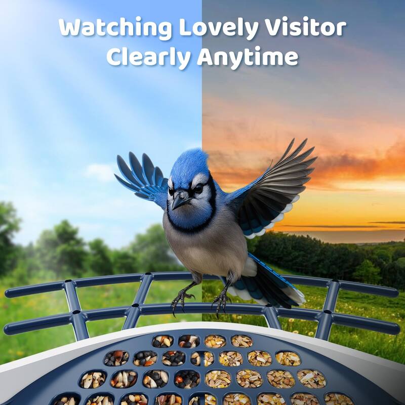 Smart Solar Bird Feeder with 2K Camera and Dual Chambers