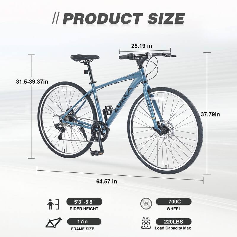 Shimano 7 Speed Double Disc Brakes 700C Road Bike,Blue Gray