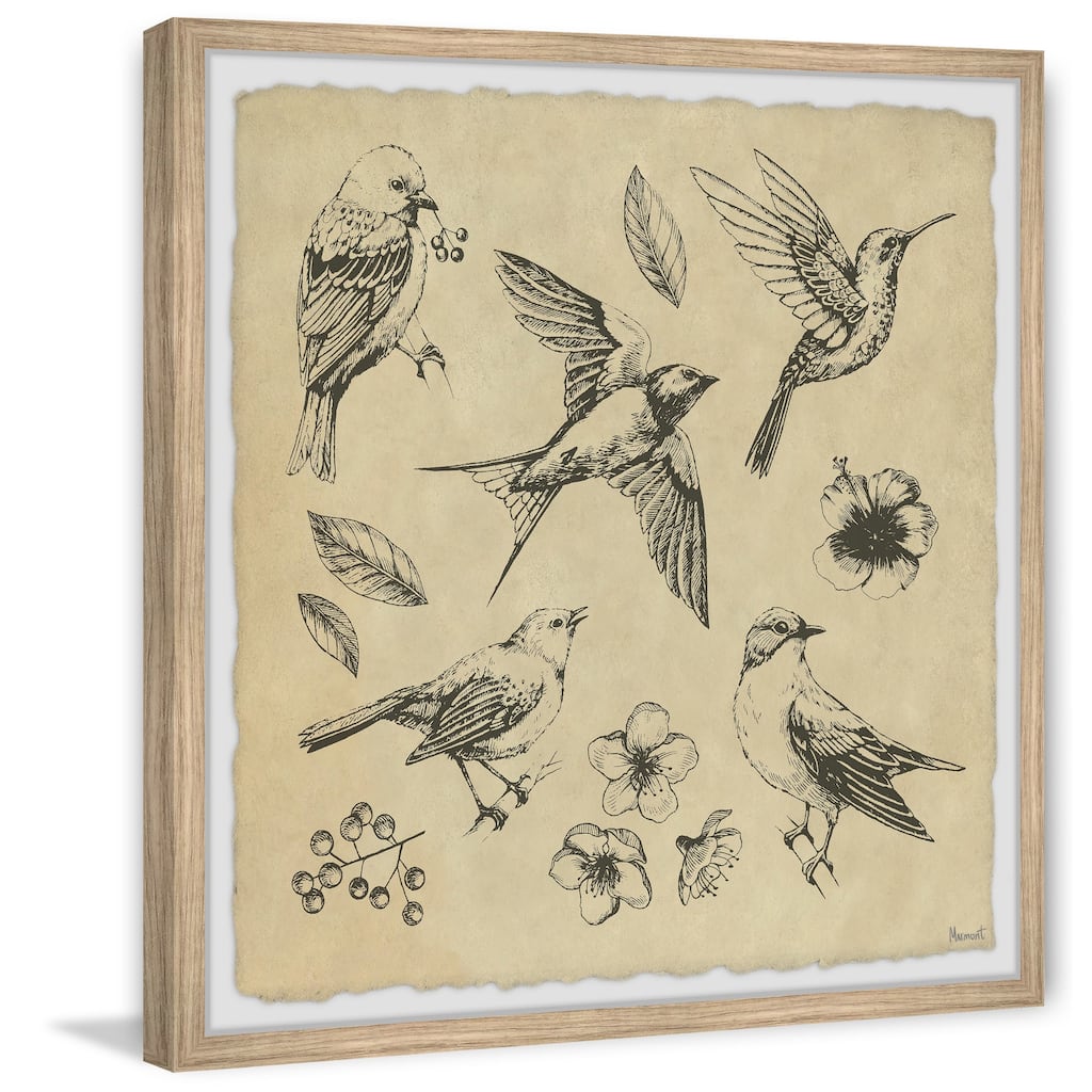 Bird Flight Framed Print