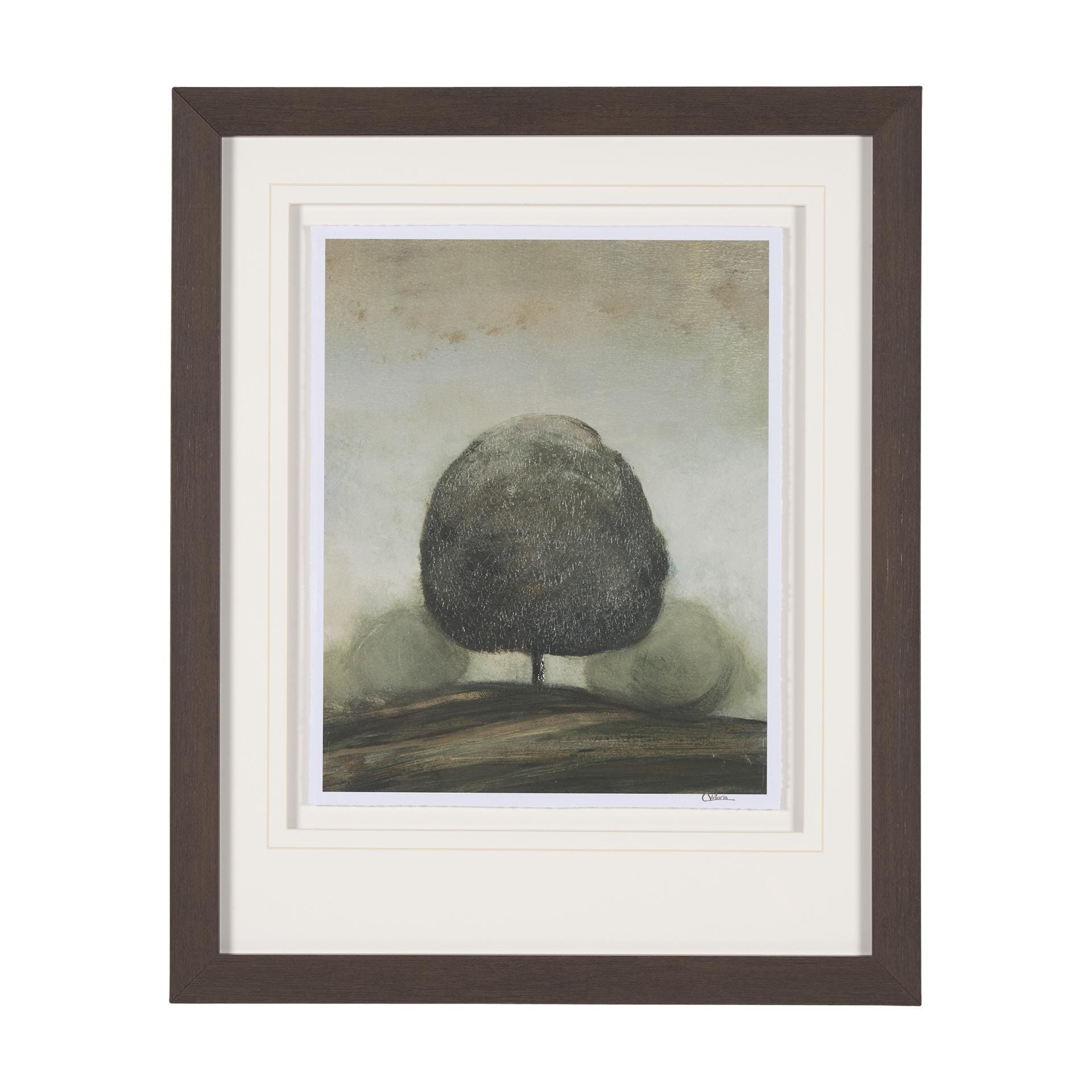 Secret Garden II by Mercana Studio a Hand Embellished Textured Framed Art Print Matted under Glass