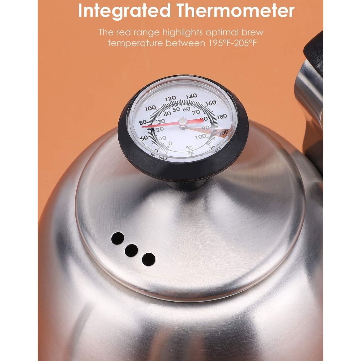 Kettle with deals thermometer