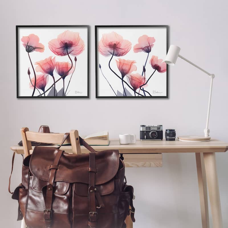 Stupell Various Faded Pink Flowers Framed Giclee Art Design By Albert Koetsier (Set of 2)