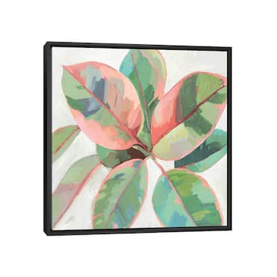 iCanvas "Pink Ficus II" by Asia Jensen Framed Canvas Print