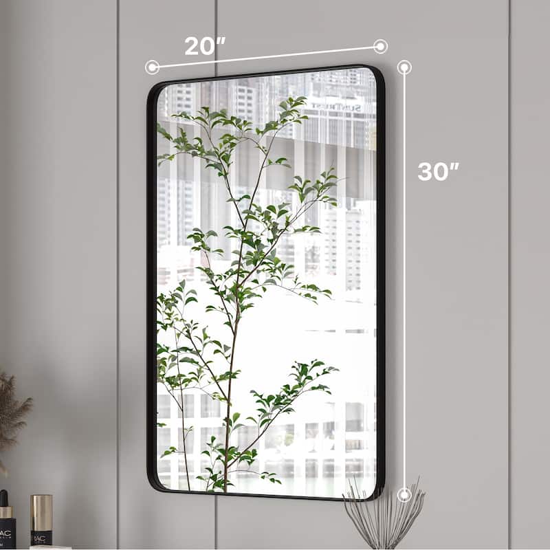 Eviva Harmony 20" x 30" Rectangular Black Metal Framed Mirror - N/A