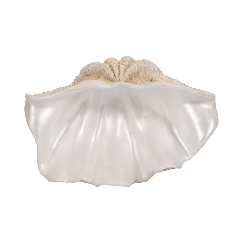 Sagebrook Home Polyresin Coastal Decorative Clam Shell Bowl with Sculptural Wavy Rim