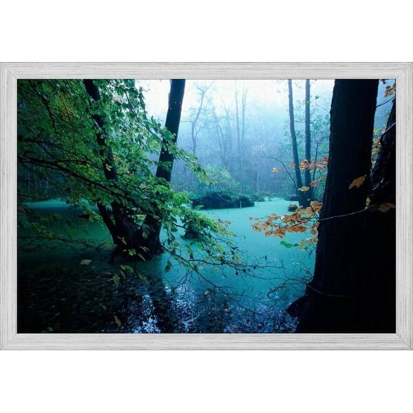 Shop Easy Art Prints Christian Ziegler S Flooded Forest Floor In