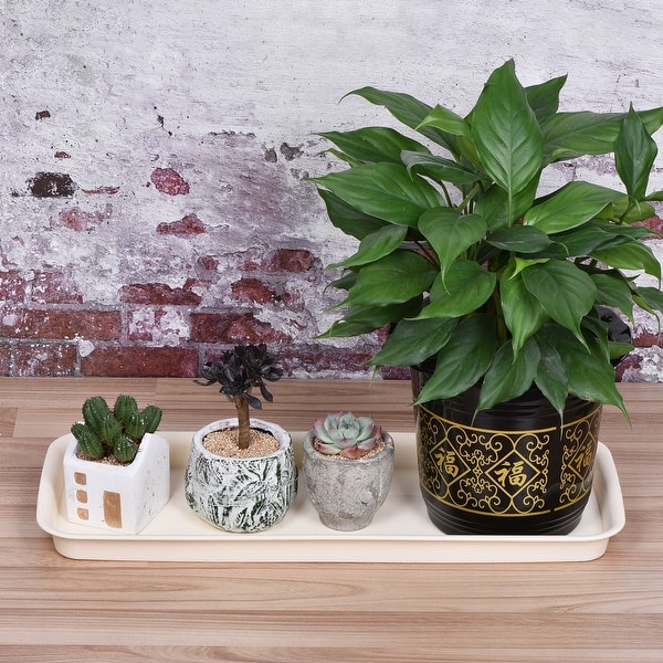 Plant Pot Saucer Plastic Rectangular Flower Drip Tray - Bed Bath & Beyond -  35252291