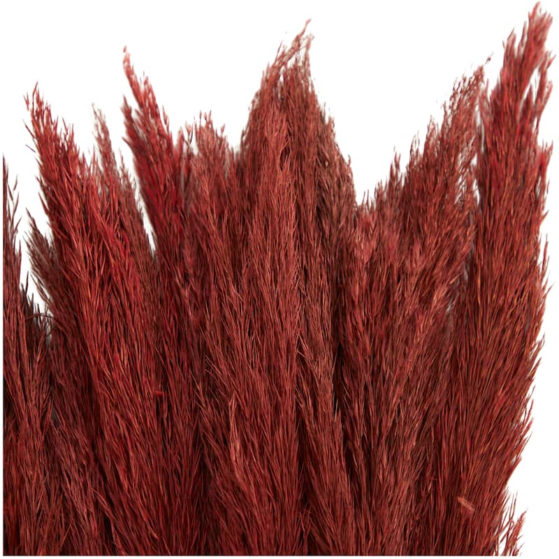 Red Dried Plant Pampas Home Decor Natural Foliage with Long Stems