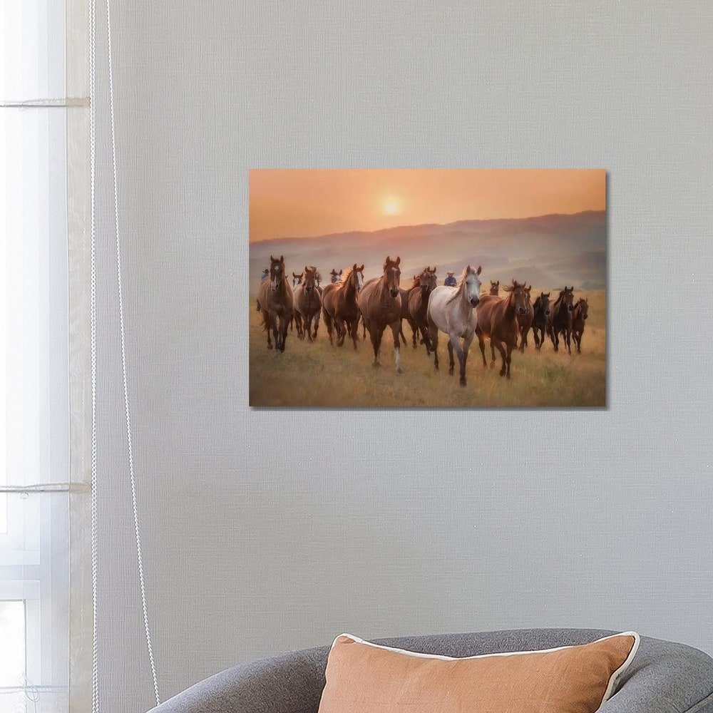 iCanvas "Sunkissed Horses II" by PHBurchett Canvas Print