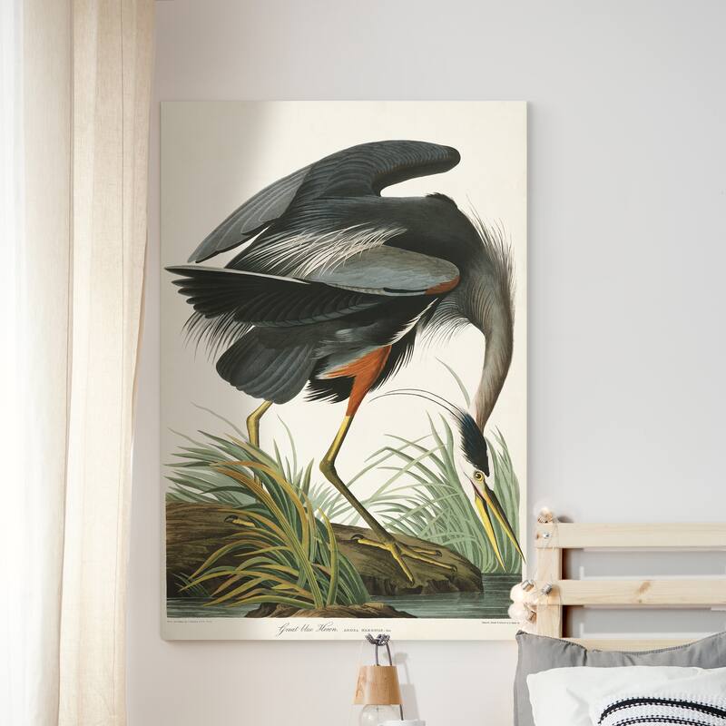 Pl 211 Great Blue Heron-Premium Gallery Wrapped Canvas