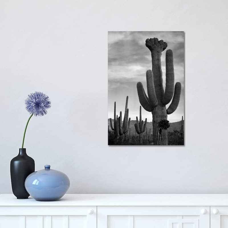 iCanvas "Saguaros, Saguaro National Monument" by Ansel Adams Canvas Print - 18x12x1.5