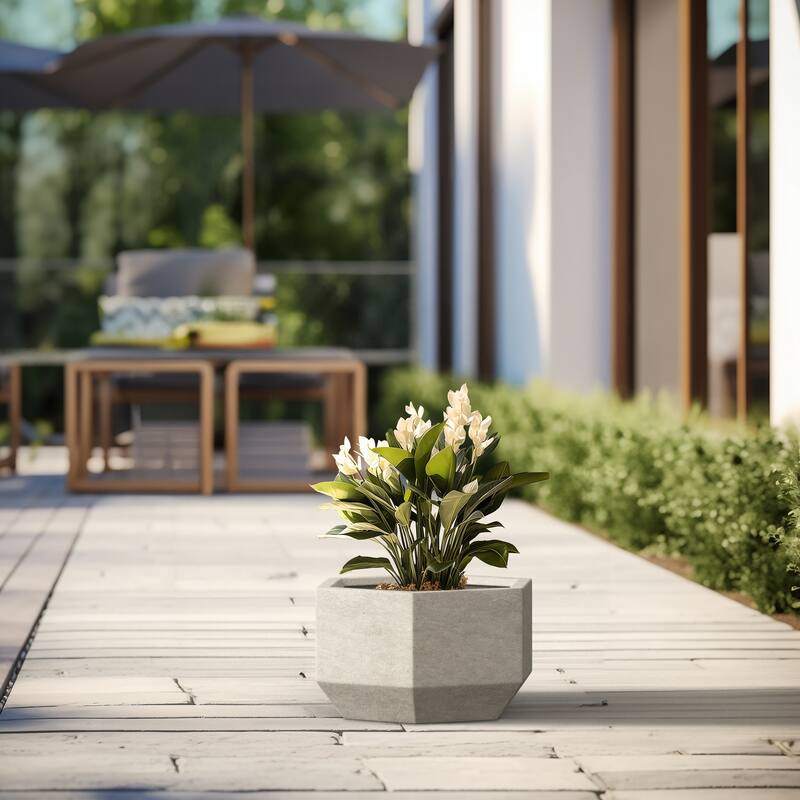 Concrete Geometric Plant Pots / Large Indoor and Outdoor flower Planters