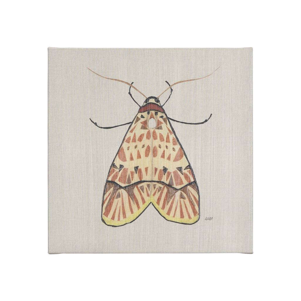 Moth I (20 x 20 ) Canvas Art Print