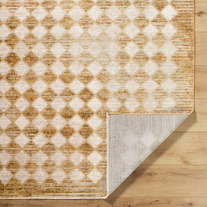 Galey Alix x Livabliss Myrtle Avenue V Vintage Checkerboard Area Rug