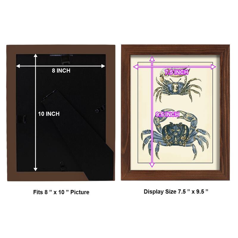 Antique Blue Crabs II -Framed Print w/glass-Cherry Red