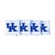 preview thumbnail 1 of 1, Kentucky UK Wildcats White Cornhole Bags All-Weather Resin Filled
