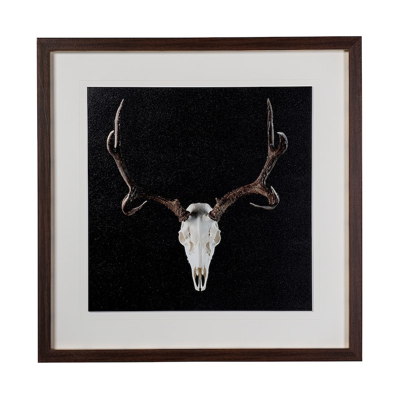 Deer Skull Framed Art Print
