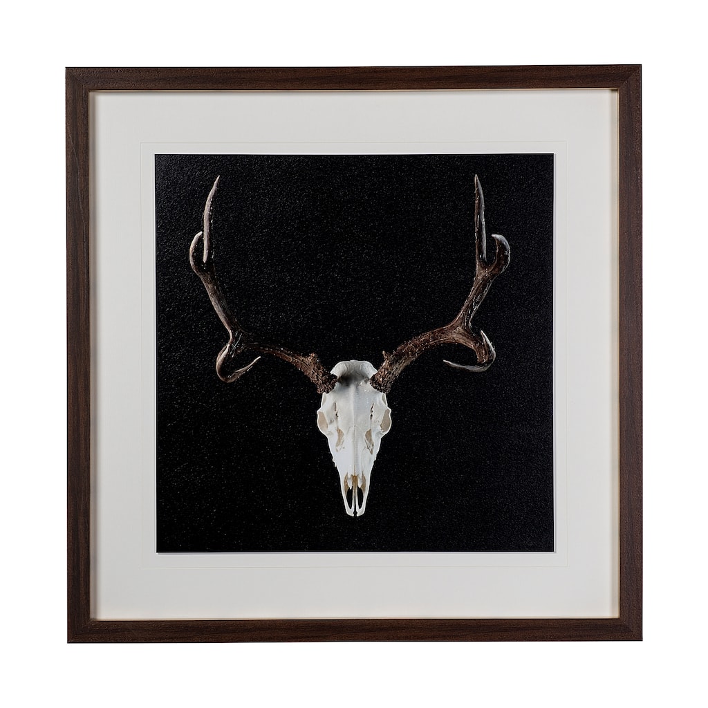 Deer Skull Framed Art Print