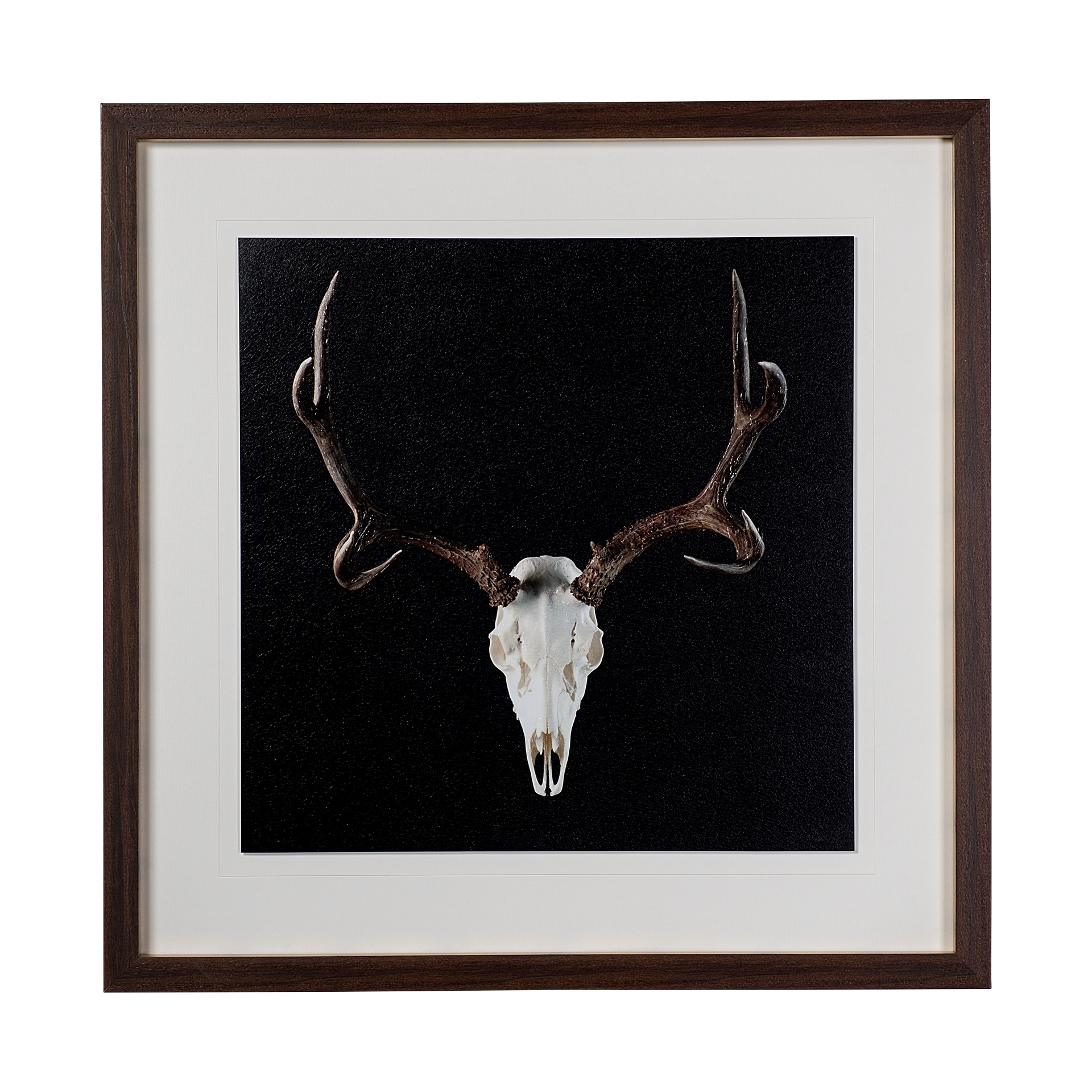 Deer Skull by Chris Dunker a Hand Embelished Textured Framed Art Print Matted under Glass