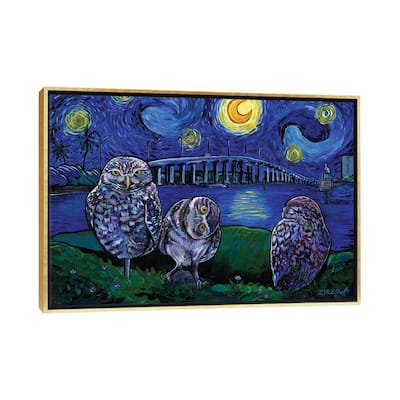 iCanvas "Burrowing Owls In The Starry Night" by Amanda Zirzow Framed