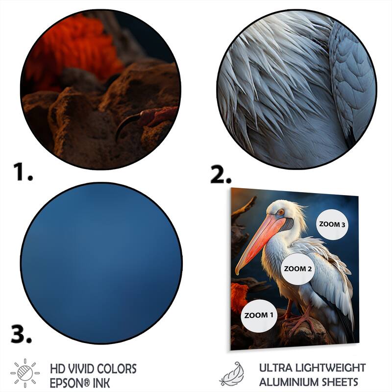 Designart "Coral White Animal Pelican" Pelican Metal Wall Art Prints