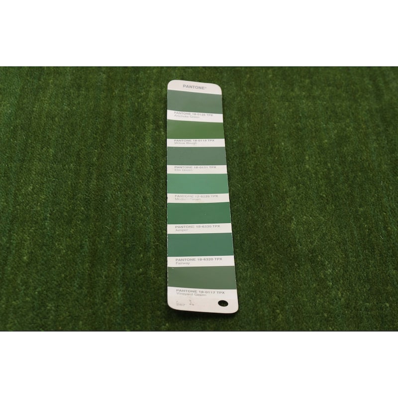 Kashkuli Gabbeh Green Rug 2'8" x 9'9" - 2'8 x 9'9