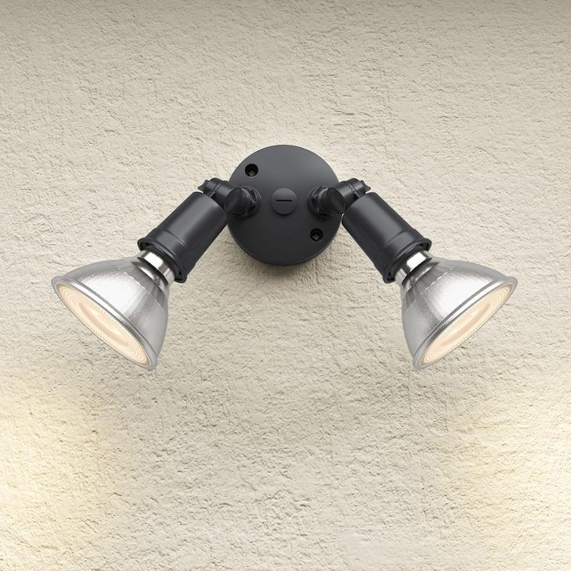 Millennium Lighting 2 Light Flood Light Fixture