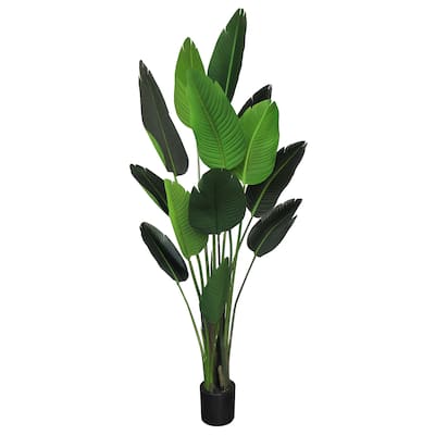 6ft Deluxe Artificial Travelers Palm Tree Tropical Plant in Black Pot - 72" H x 29" W x 29" DP