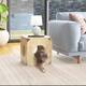 Carson Carrington Shorewood Cat Hut Cube/Stool