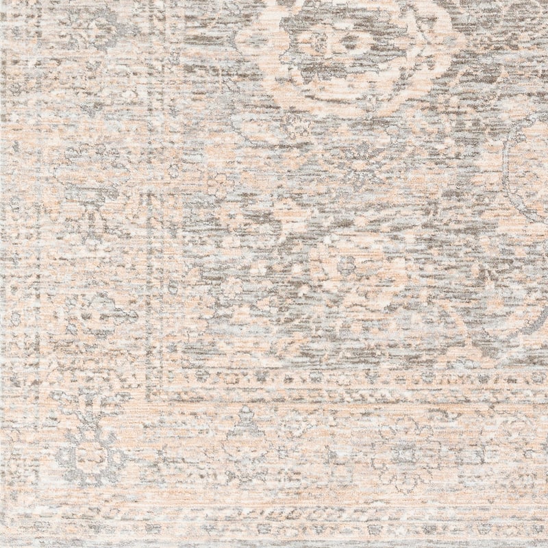 Artistic Weavers Patshah Vintage Distressed Area Rug