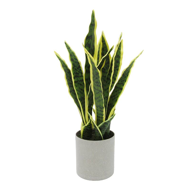 Artificial Sansevieria Snake Plant in Grey Pot - 18" H x 9" W x 6" DP - Green Yellow