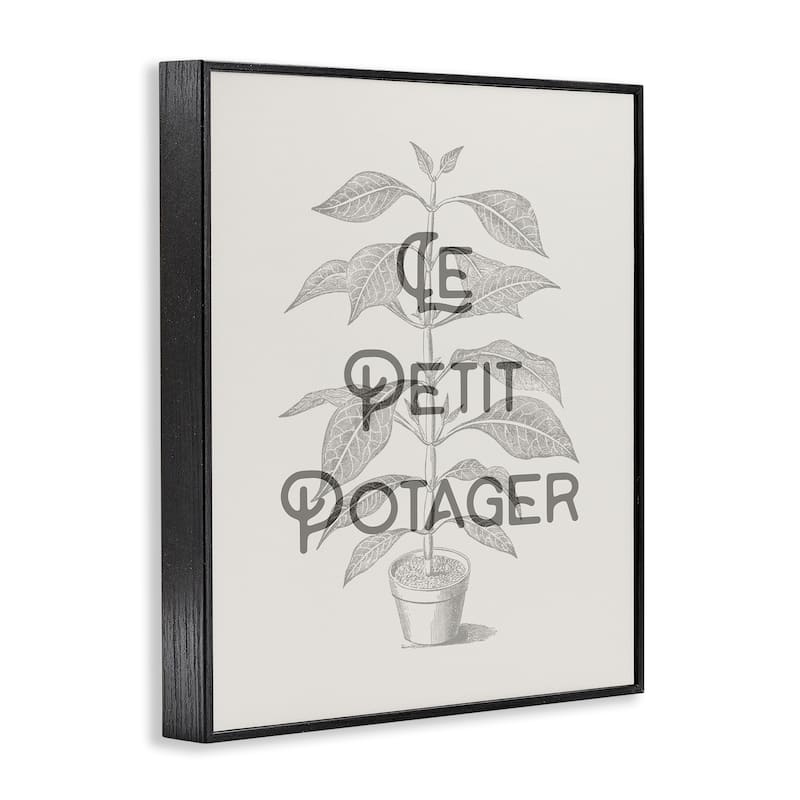 Stupell Vintage French Plant Phrase Framed Giclee Art Design By Lil' Rue