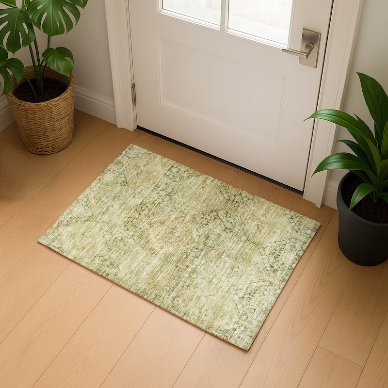 Premium Washable Super Soft Vintage Traditional Mayfield Rug - Fern - 1'8" x 2'6"