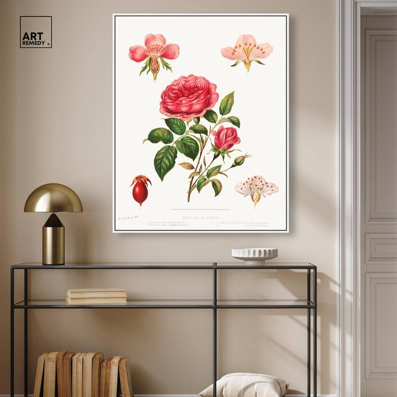 Rose and its parts (1872) Canvas by Art Remedy