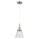 Option Seedy Shade / Brushed Satin Nickel