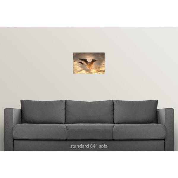 Shop Seagull At Sunset Menton France Poster Print Free