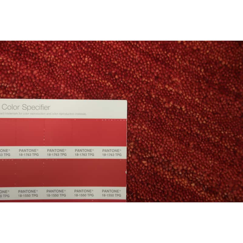 Hand Knotted Oriental 100% Wool Carpet Tribal Animal Pictorial Red Gabbeh Area Rug - 7' 10'' X 5' 1''