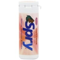 Xlear Spry Gum Tube Refill, Cinnamon, 30 Count