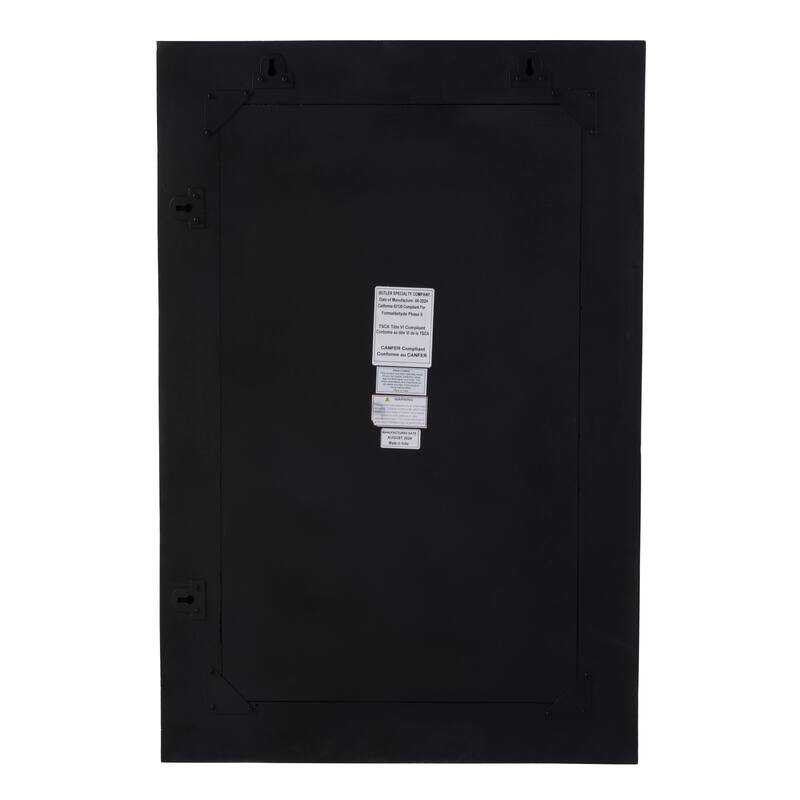 Verona 24 in. W x 36" H Rectangular Bone-Inlay Wall Mirror
