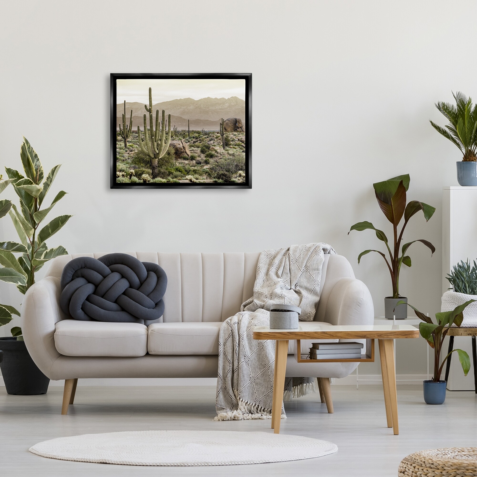 Stupell Rocky Desert Landscape Framed Floater Canvas Wall