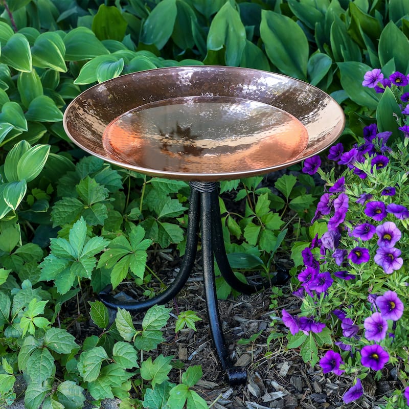 Achla Designs 14"W Round Polished Copper Plated Stainless Steel Birdbath w/ Black Wrought Iron Tripod Stand