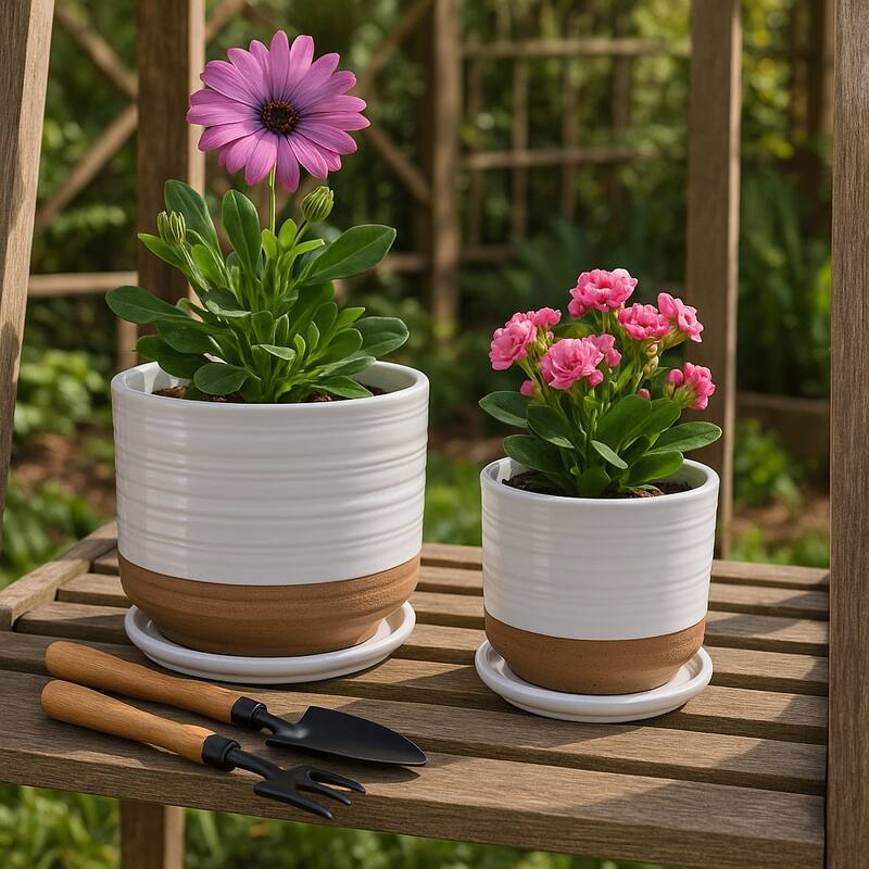 Ceramic Circular Saucer Planters Set of 2 - 6/8 in.