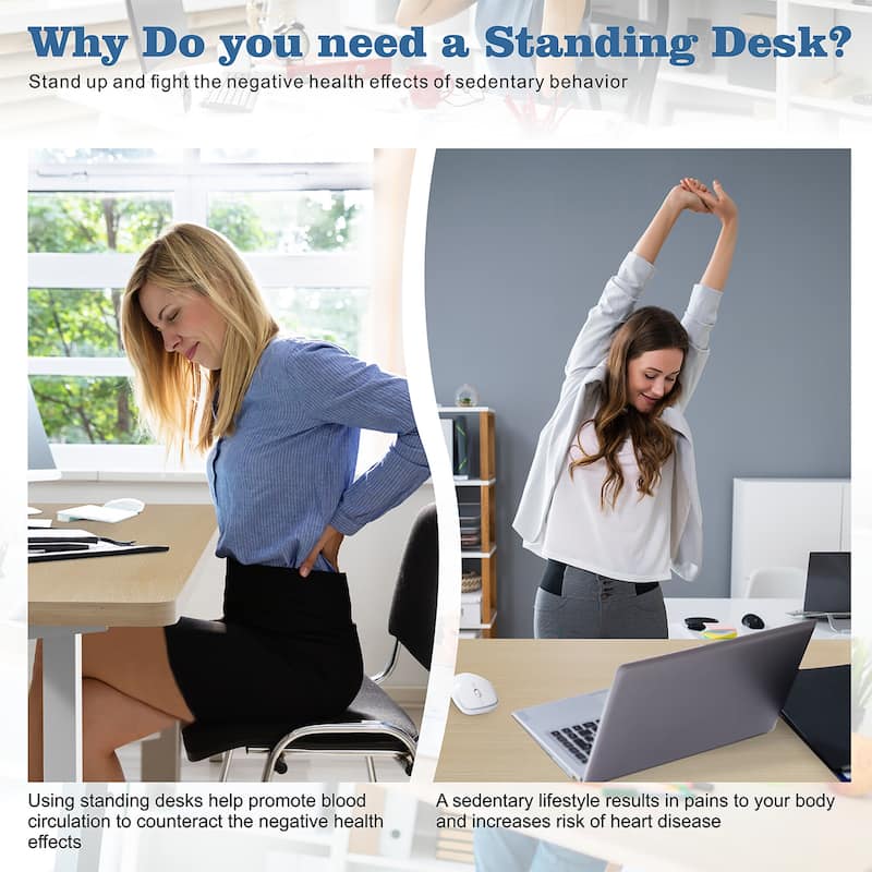 Futzca Electric Height Adjustable Standing Desk