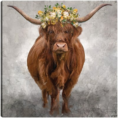Lady Longhorn By Studio Arts Canvas Art Print