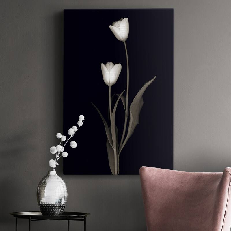 Tulip Pose II Premium Gallery Wrapped Canvas - Ready to Hang